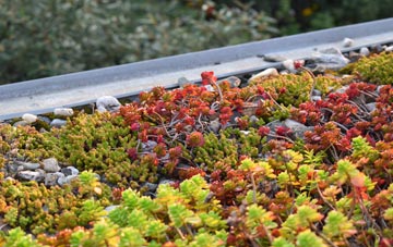 the cost of Plain An Gwarry green roof installation