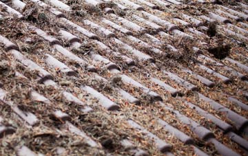 Plain An Gwarry roof cleaning companies