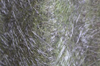 Plain An Gwarry fibreglass roof work